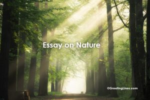 essay writing on nature is our wealth