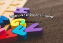 Essay on Importance of English Language 2022